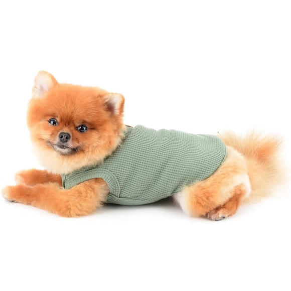 Kawaii Cute Waffle Tee for Small Dogs or Cats - green size XXL *3/$13* - Picture 7 of 14